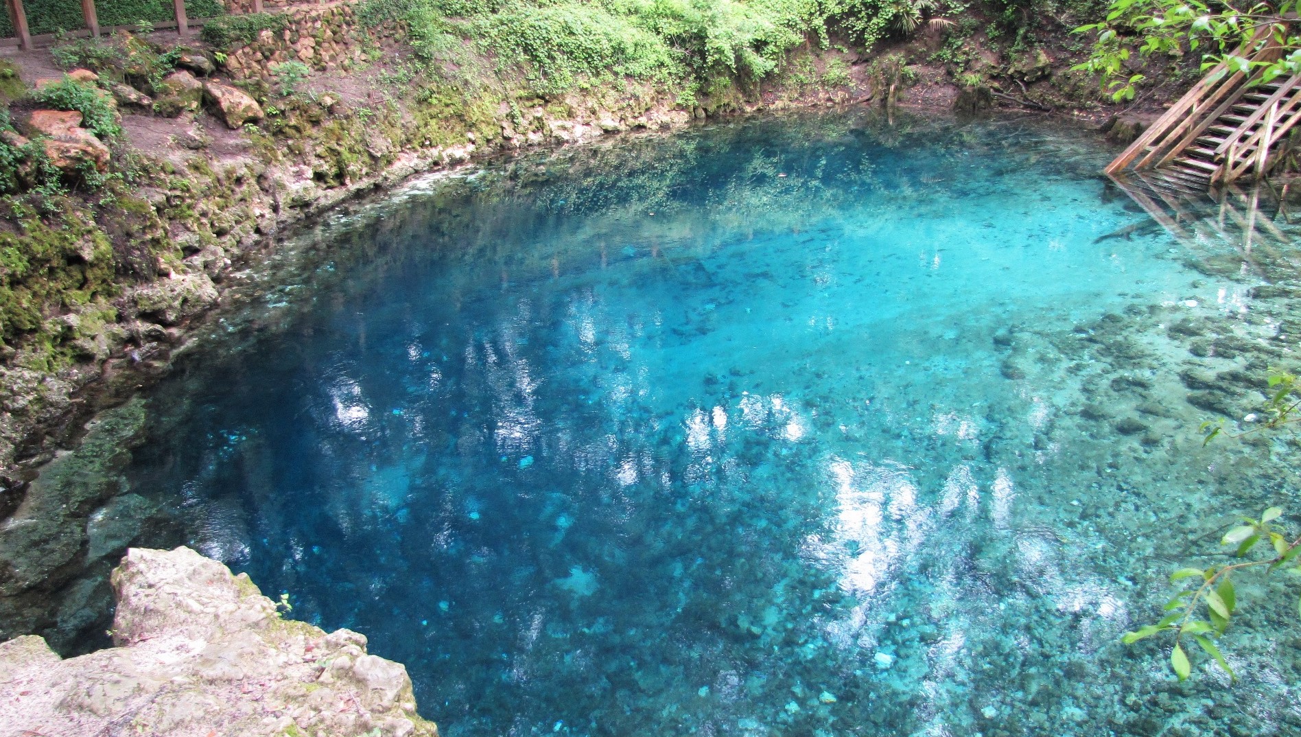 Madison Blue Spring pool