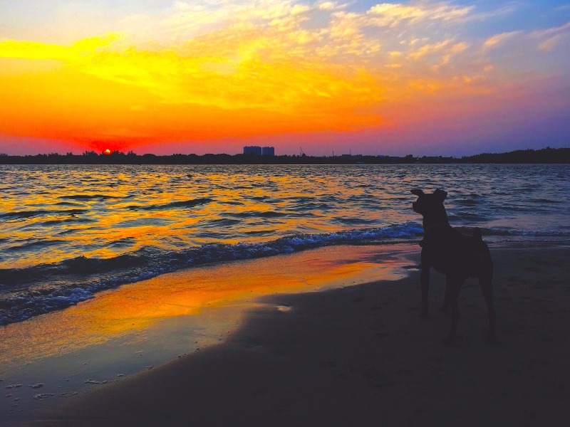 Bark Beach