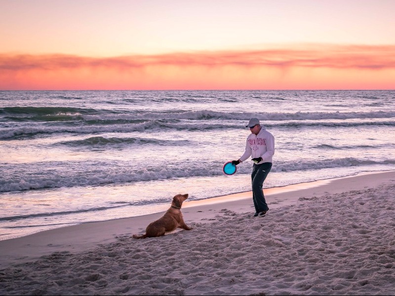 Pier Park Dog Beach