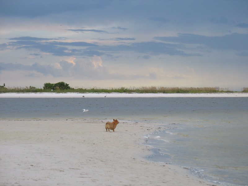 Bonita Beach