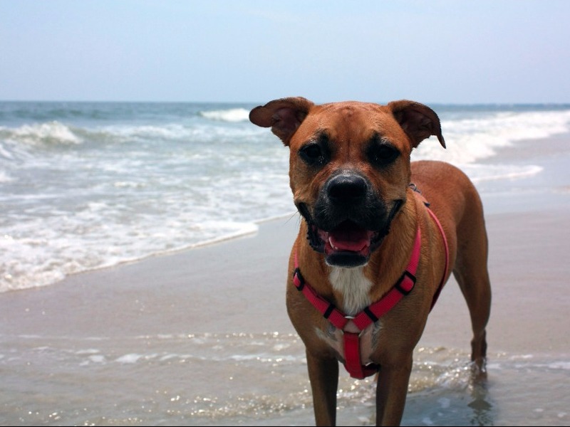 Cape San Blas