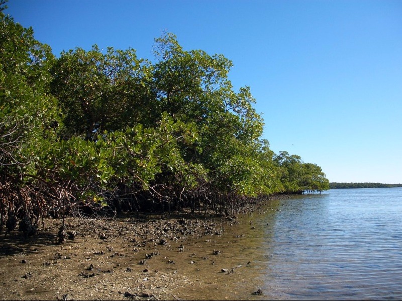 Mound Key Archaeological State Park