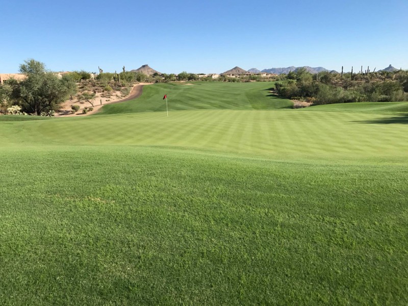 Top 8 Golf Courses in Phoenix for 2021 (with Photos) – Trips To Discover