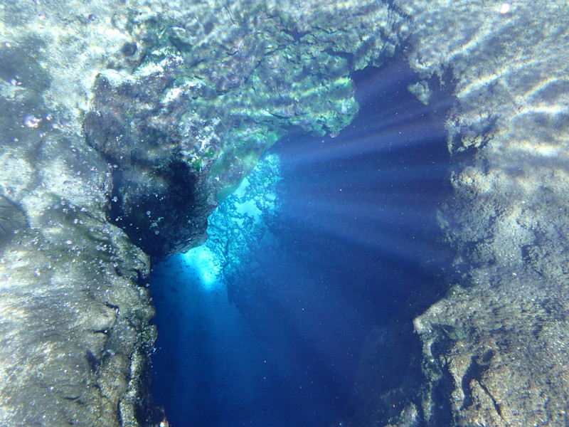 Snorkel Blue Hole at Ichetucknee Springs State Park