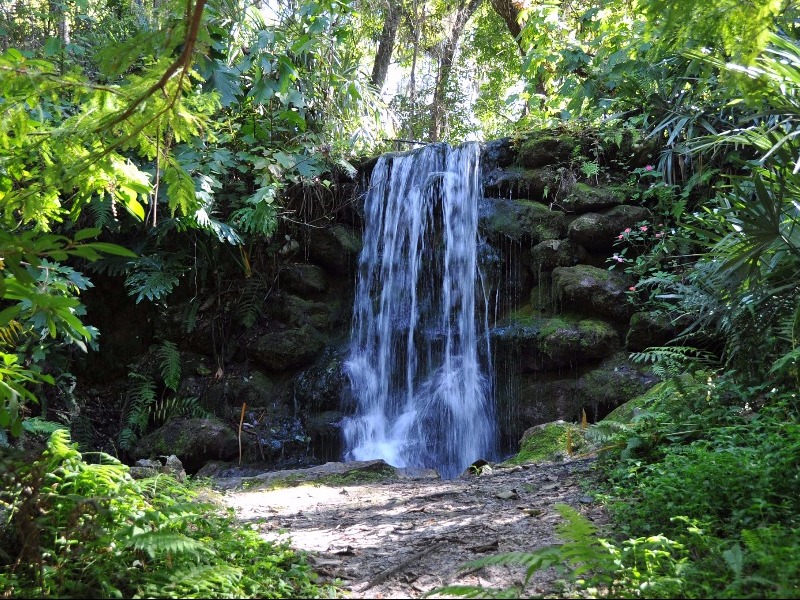 Rainbow Springs