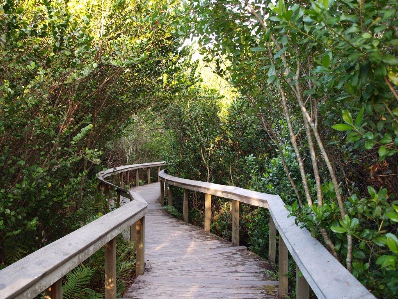 Shark Valley Trail