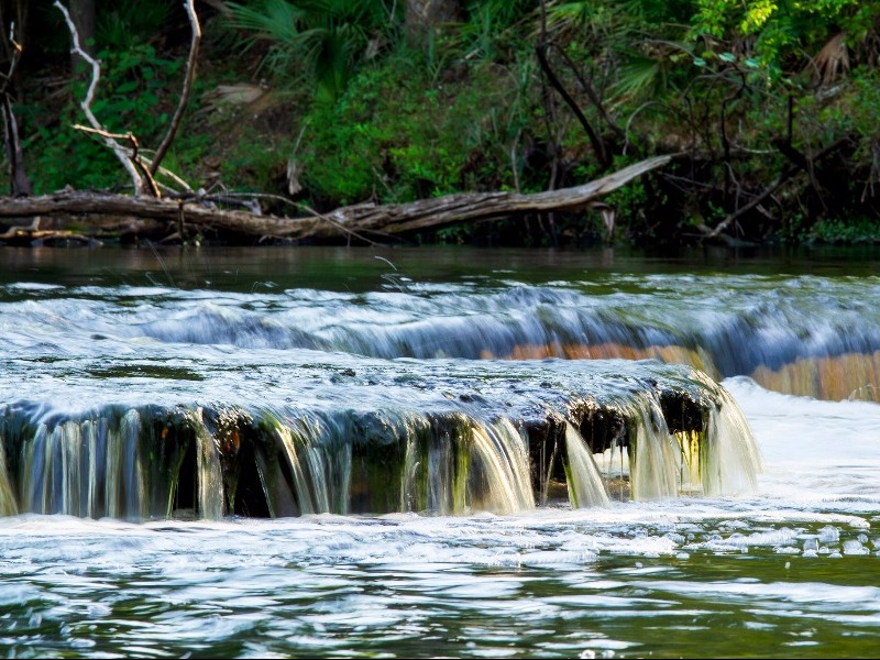 Steinhatchee