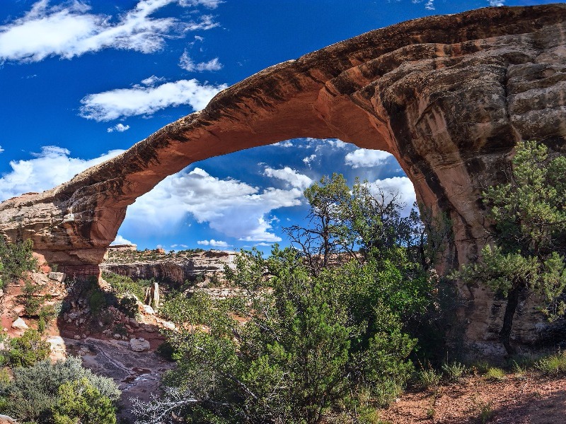 Natural Bridges Monument