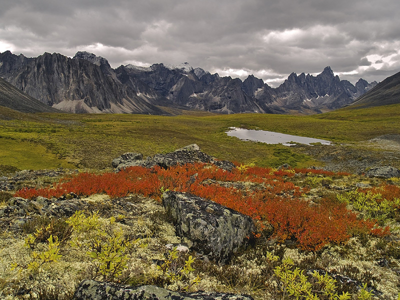 Tombstone Pass, Yukon