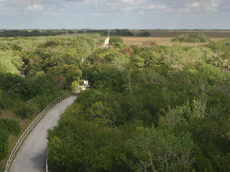 Shark Valley Trail