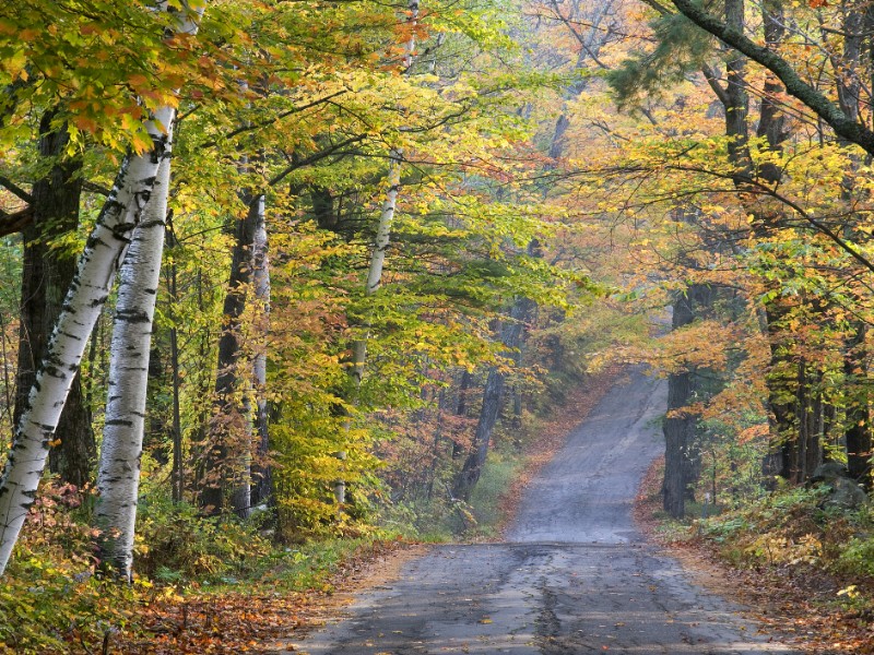 Autumn scenery along road in Sugar Hill.