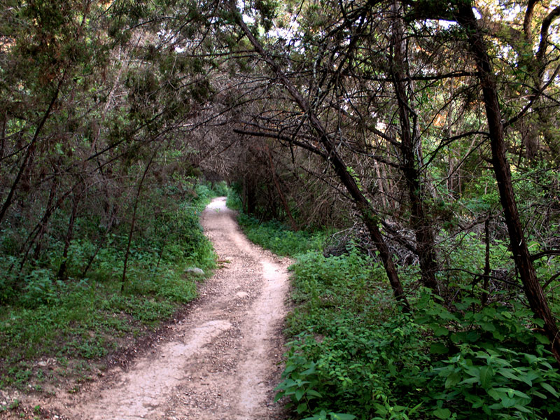 Barton Springs Greenbelt