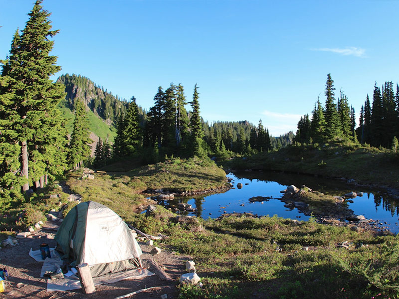 Olympic National Park