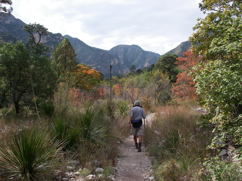 The Smith Spring Loop at Guadalupe Mountains