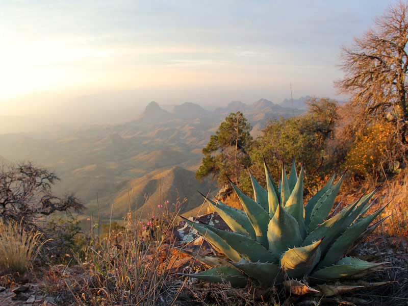 South Rim at Big Bend National Park