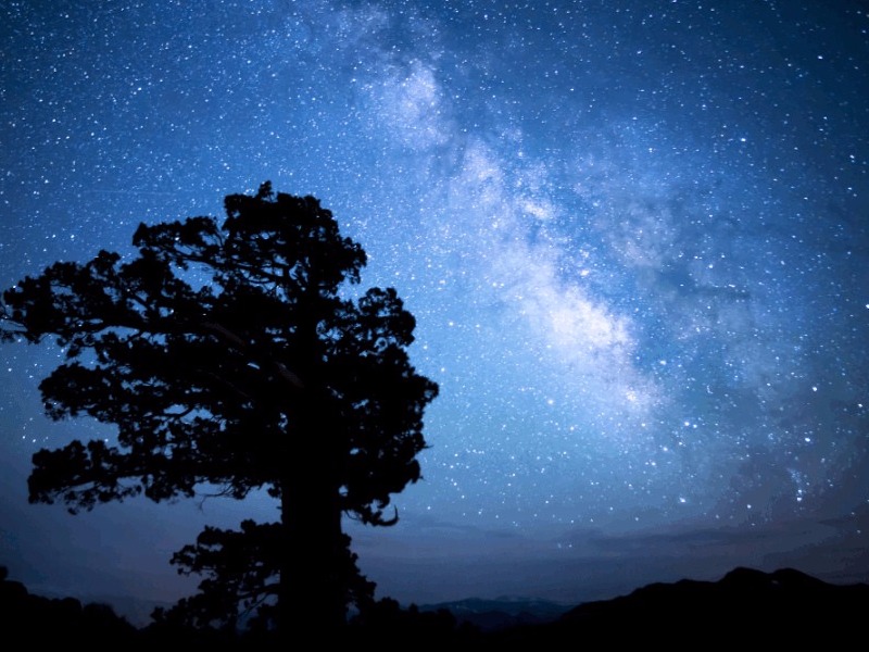 dark starry night in Tonopah, Nevada