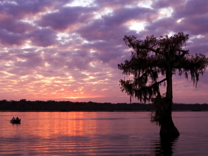 Lake Martin, Breaux Bridge