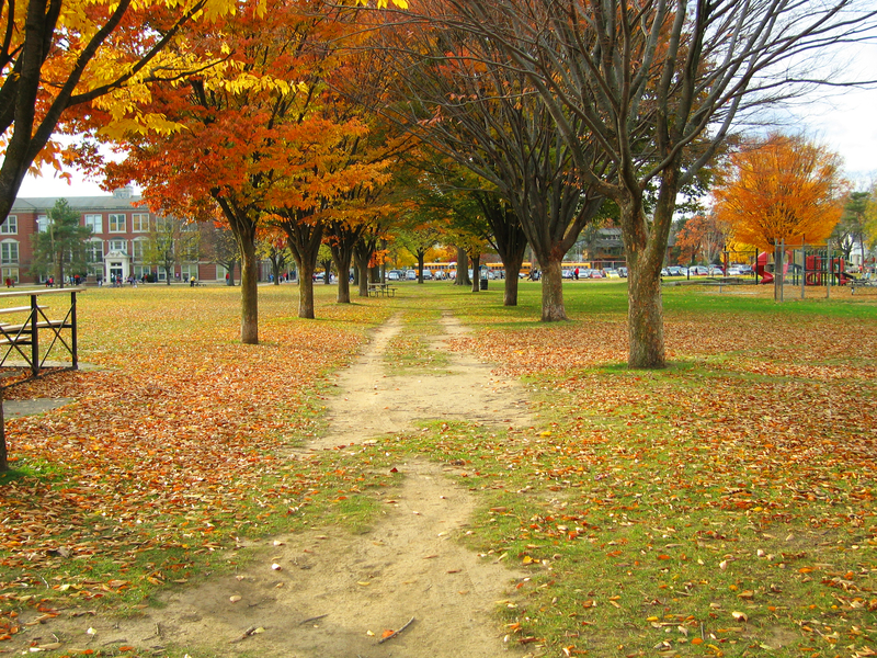 Burns Park neighborhood in Ann Arbor, Michigan