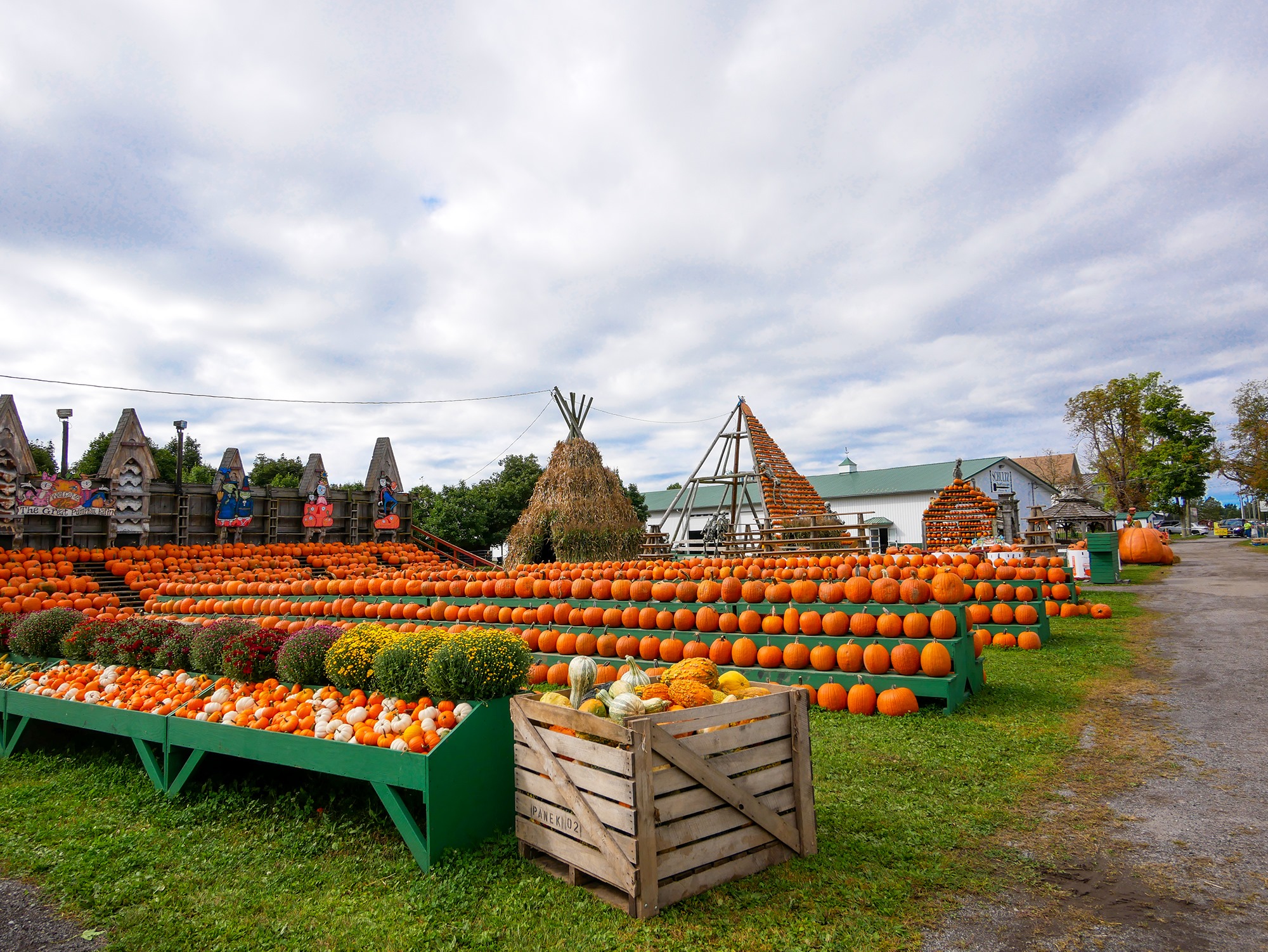 The Great Pumpkin Farm