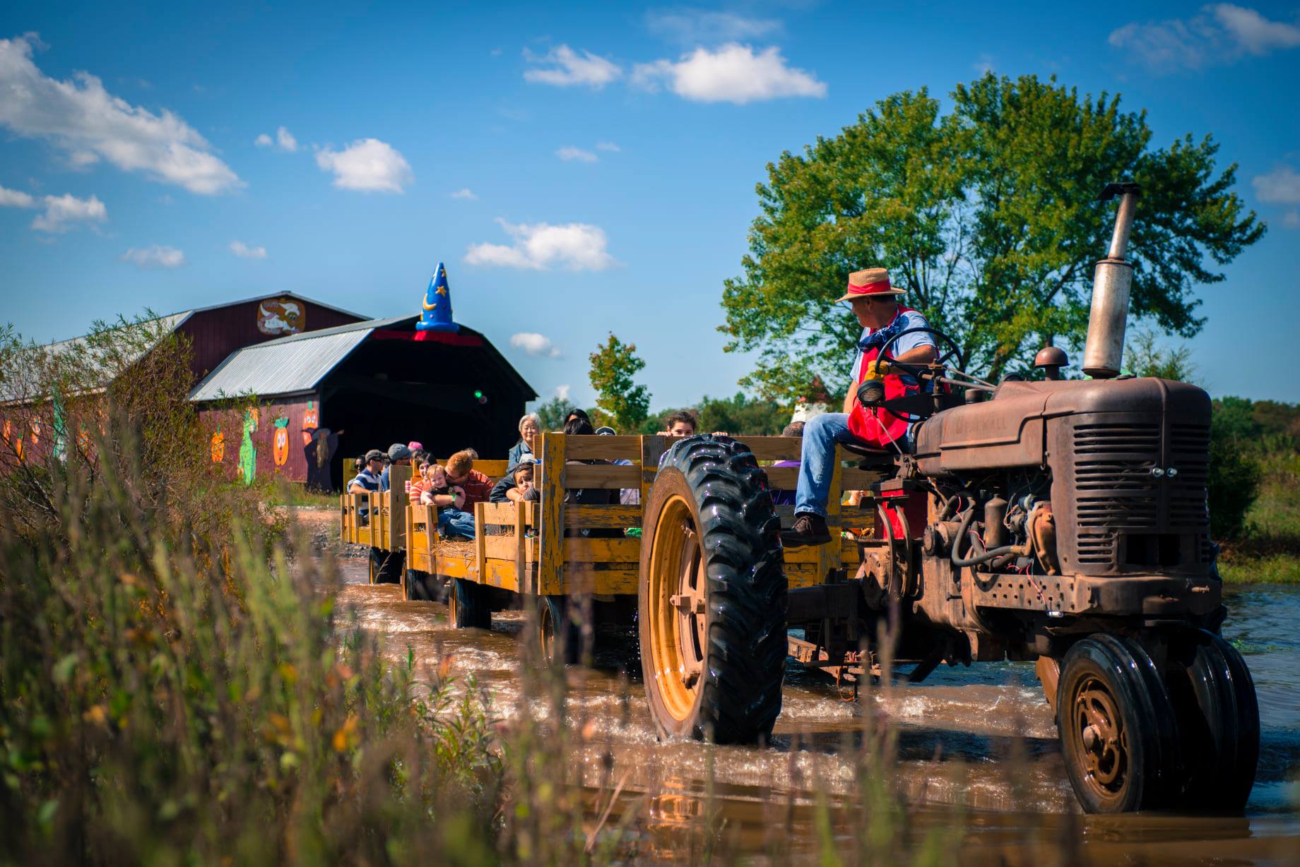 Cox Farms