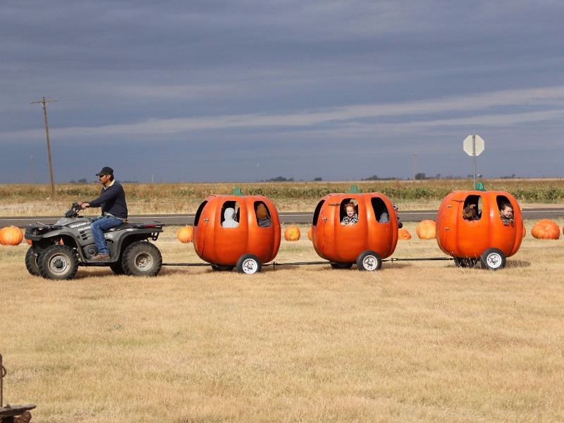 Assiter Punkin’ Ranch