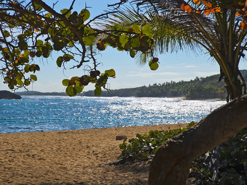 Manatí coast, Puerto Rico