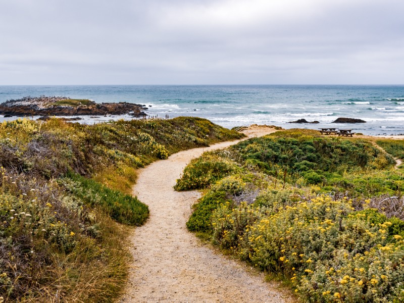 Pescadero State Beach