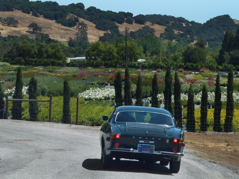 Sarah's Vineyard, Santa Cruz Mountains