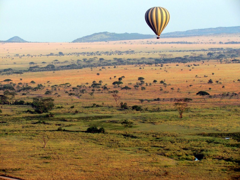 Hot air balloon over the Serengeti