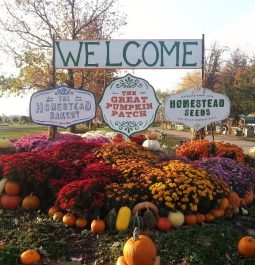 Welcome sign at pumpkin patch