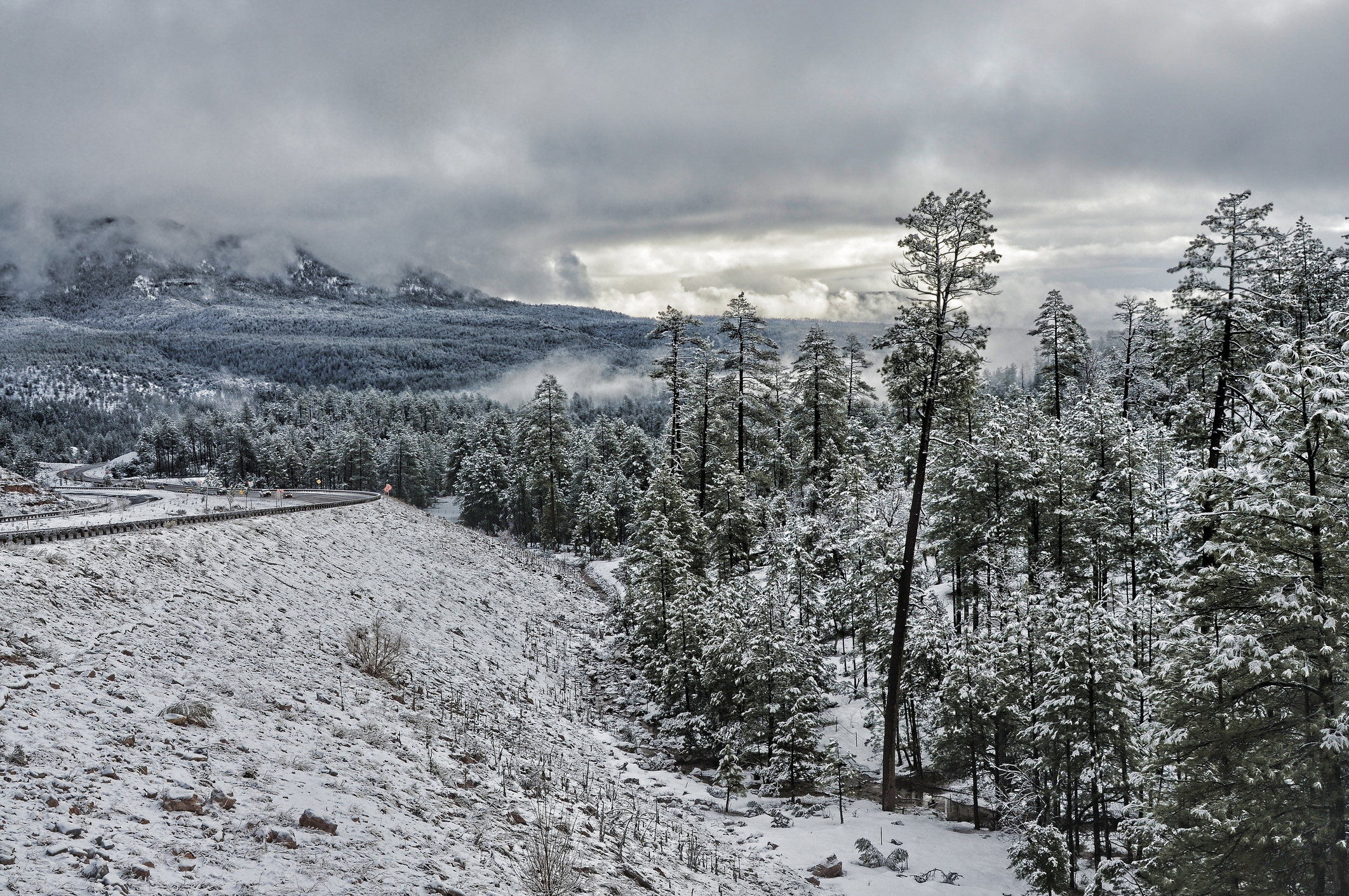 White Mountains, Arizona