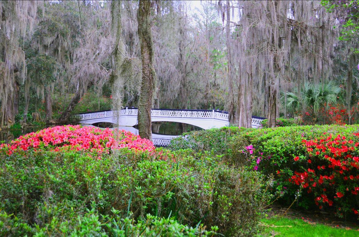 Magnolia Plantation & Gardens