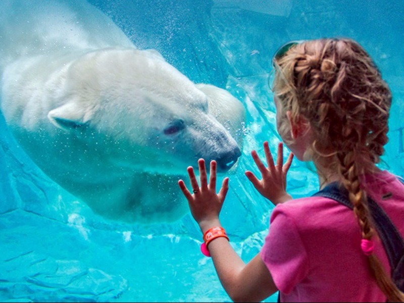 St. Louis Zoo