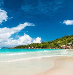 beach coastline with turquoise water