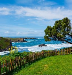 blue coastline in medocino