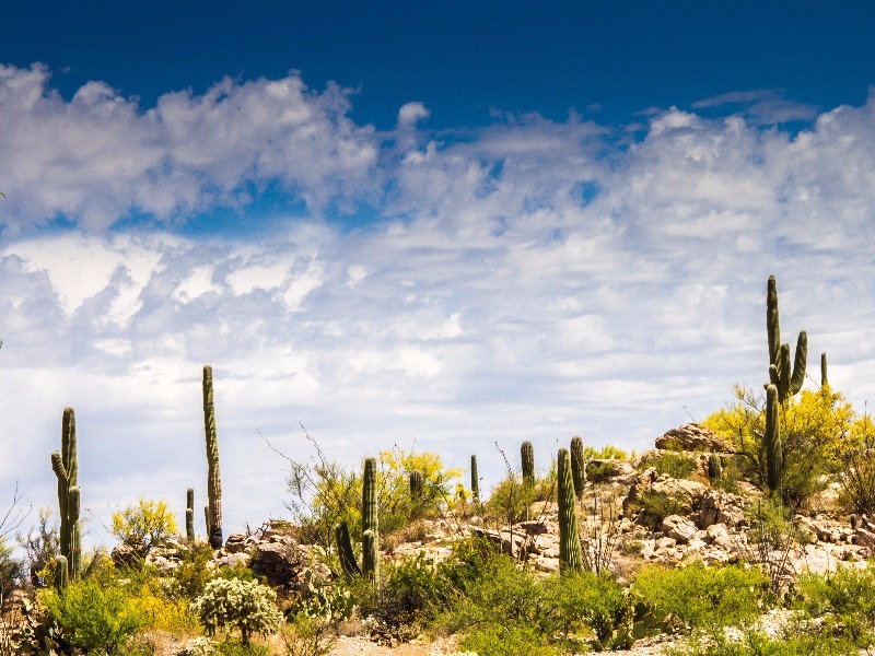 Tucson, Arizona