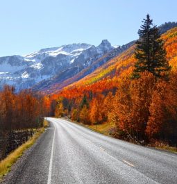 road surrounded by fall foliage and snowy mountain caps in distance