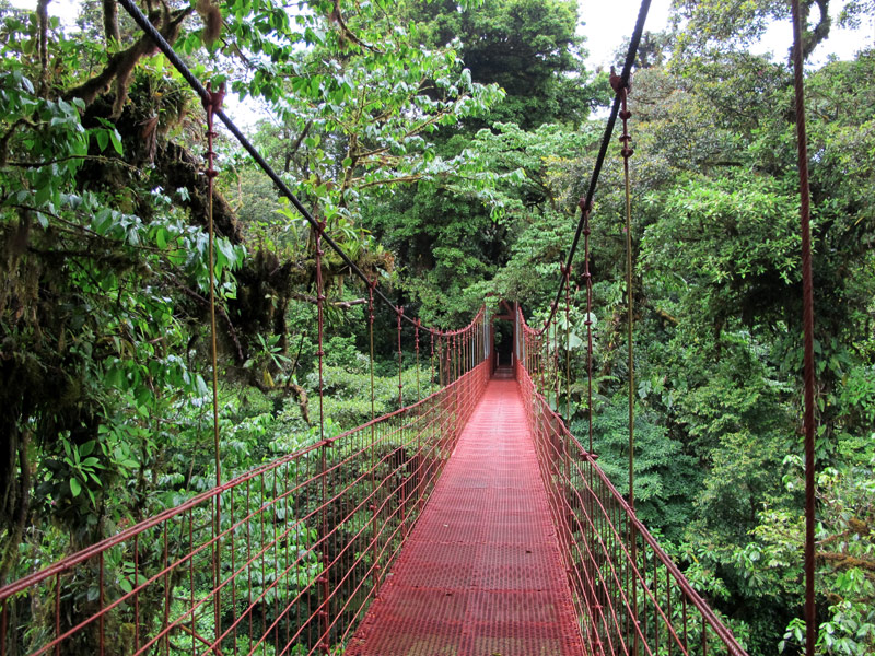 Monteverde