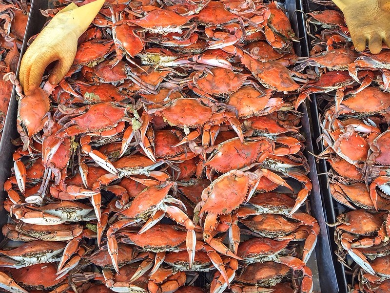 Chesapeake crabs at at a local market