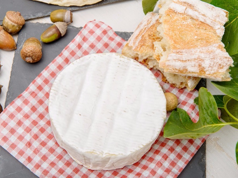 Camembert cheese of Normandy