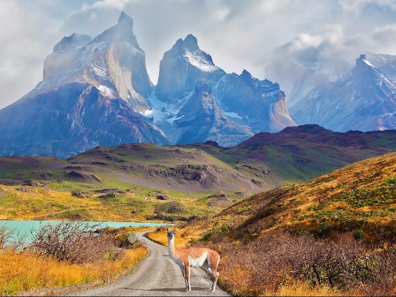 Torres del Paine, Patagonia, Chile