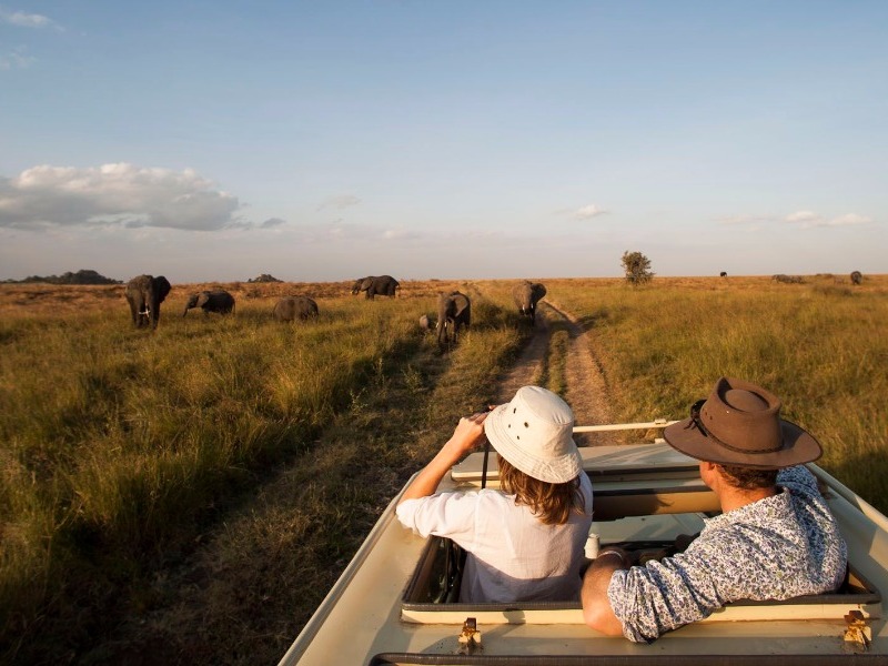 Nomad's Serengeti Safari