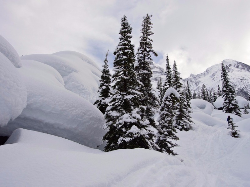 British Columbia near Roger's Pass