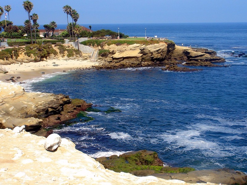 Beach and cove in La Jolla 