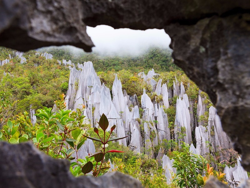 Gunung Mulu National Park 