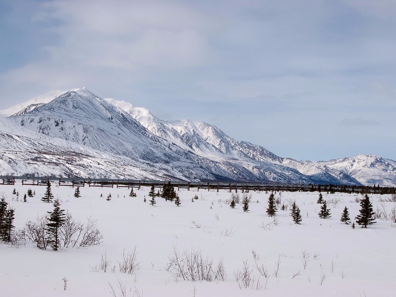 Trans-Alaska Pipeline System