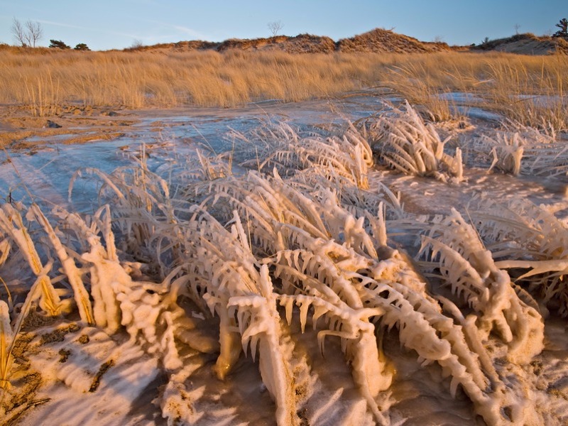 Winter Saugatuck Dunes State Park 