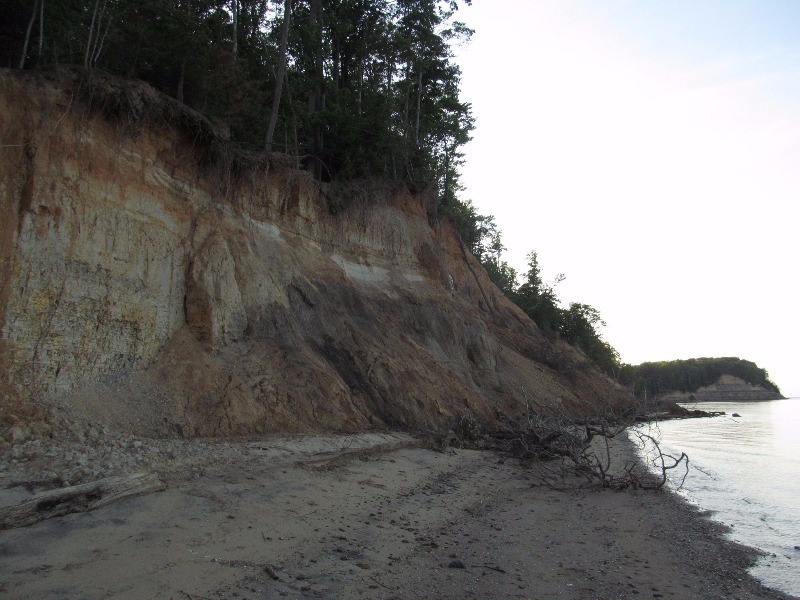 Calvert Cliffs State Park