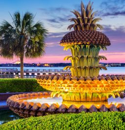 pineapple fountains with bay and sunset in background