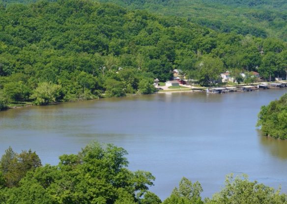 boats dock along the lakeside at Lake of the Ozarks with lush green trees surrounding the lake